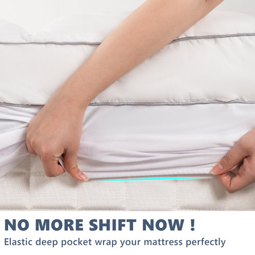 Alwyn Home Slaton 4'' Down Alternative & Reviews Wayfair